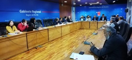 Comisión de Evaluación Ambiental del Bío Bío aprueba 4 proyectos: inversión superará US$400 millones