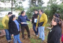 Seremi de Bienes Nacionales inspeccionó terreno fiscal en Niebla para posible construcción de casas para comité