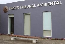 Tribunal Ambiental de Valdivia autoriza detención parcial de obras en proyecto inmobiliario en Pilauco
