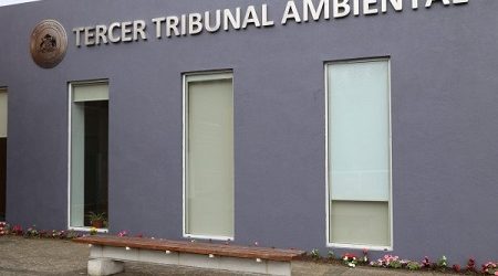 Tribunal Ambiental de Valdivia autoriza detención parcial de obras en proyecto inmobiliario en Pilauco