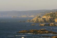 Minvu congela todas las solicitudes de loteo y edificación en Santuario de la Naturaleza de Hualpén