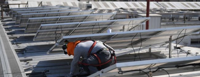 Data center de WOM comienza a operar con energía 100% renovable