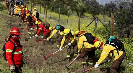 Ministros Walker y Moreno refuerzan en terreno construcción de cortafuegos para el control de incendios forestales