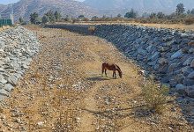 Informe de la ONU confirma sequía prolongada y escasez de agua para Chile en los próximos años
