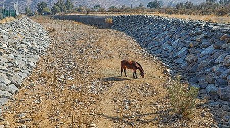 Informe de la ONU confirma sequía prolongada y escasez de agua para Chile en los próximos años