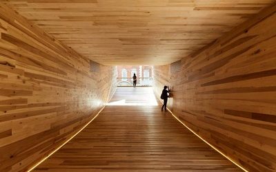 PUBLICACIONES SOBRE CONSTRUCCIÓN Y DISEÑO DESTACAN COMO LOS CONTENIDOS MÁS VISITADOS POR LOS LECTORES DE MADERA21