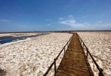 Inauguran nuevo Centro de Educación Ambiental en Salar de Llamara