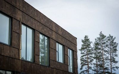 HORIZON EUROPE: SEIS INICIATIVAS “MADERERAS” QUE SON APOYADAS POR EL PROGRAMA DE LA UNIÓN EUROPEAv