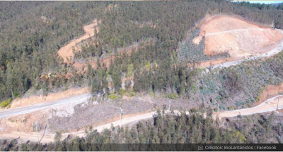 Empresa retira del SEIA proyecto de tierras raras en Penco para potenciarlo y volverlo a ingresar