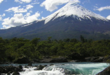 Comunidades indígenas acusan que proyecto inmobiliario buscaría levantar edificios en Parque Puyehue
