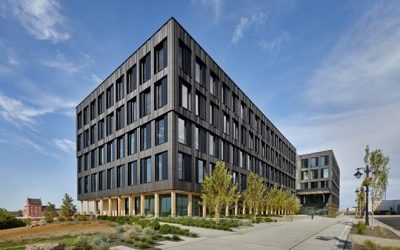 TENDENCIAS DE LA ARQUITECTURA Y DEL DISEÑO EN MADERA PARA EL 2022