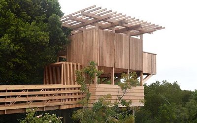 RENOVACIÓN DEL MIRADOR DEL CERRO ÑIELOL: LA MADERA COMO PROTAGONISTA DE LA ARQUITECTURA DE PREEXISTENCIA