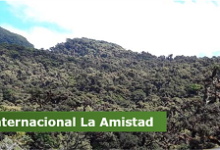 Costa Rica y Panamá siguen la construcción del Parque de la Amistad