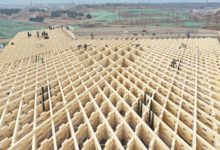 NATURALEZA, ARQUITECTURA Y TECNOLOGÍA EN MADERA SE DESPLIEGAN EN EL JARDÍN BOTÁNICO DE TAIYUAN