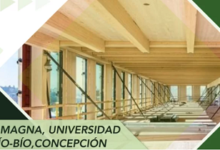 Inauguran feria para capacitar a Pymes de la madera y construcción en el Bío Bío: inscríbete aquí
