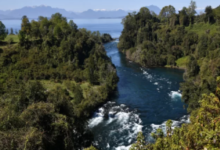 Abren licitación para potenciar turismo y visibilizar Parque Geológico Cordón Caulle en Lago Ranco