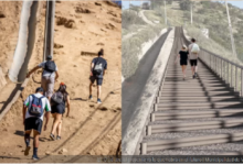 Municipalidad de Vitacura anuncia construcción de acceso para subir el cerro El Carbón
