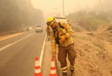 MOP actualiza estado de carreteras: todas las rutas del Bío Bío habilitadas, con precauciones por humo
