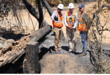 MOP inicia reemplazo del primero de los 3 puentes destruidos por el fuego en Ñuble
