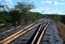 La ANTT autoriza el contrato de concesión del tren bala