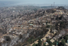 Isla de Pascua, Valparaíso y Viña del Mar: los seis terrenos con los que Bienes Nacionales busca dar respuesta a la reconstrucción por incendios y crisis habitacional