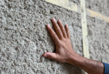 Emprendimiento sureño convierte el cartón reciclado en aislación térmica sostenible para construcciones